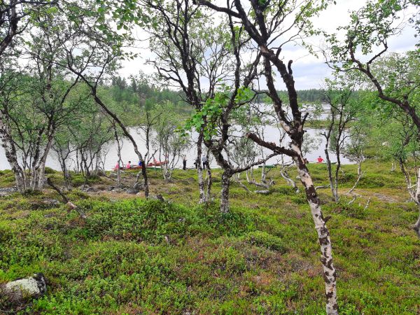 Am Nordende des Soulisjrvi Inari 2022