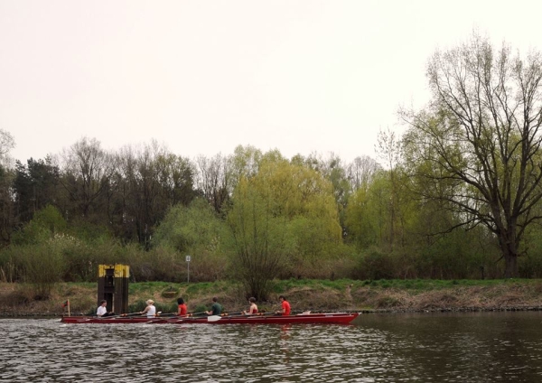 Baumgarten C-5x+ auf dem Teltowkanal 2015