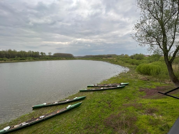 Baumgarten E-Boote Backo Novo Selo Donau 2023