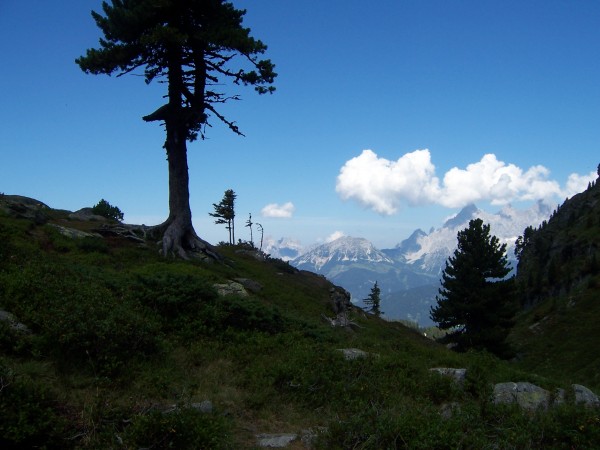 Blick auf Dachstein Roetelstein Loipold 09