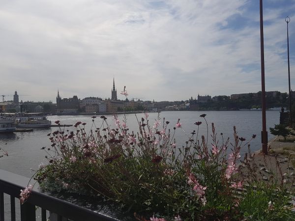 Blick auf Riddarholmen Stockholm 2019