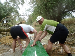 Boot auf dem Baum 2014