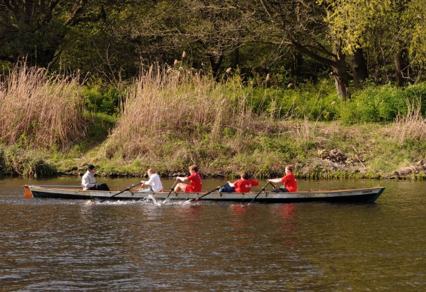 Drachenboot Rudercup Jusos ausser takt 2016