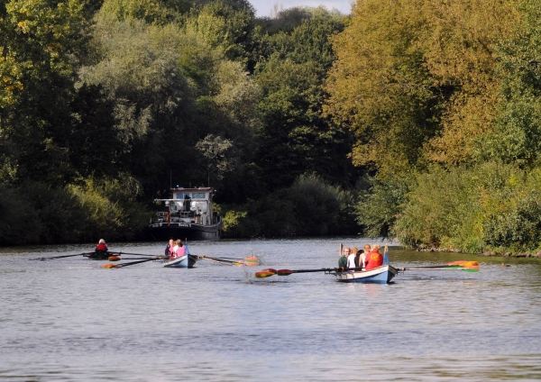 Drachenbootrudercup 2015