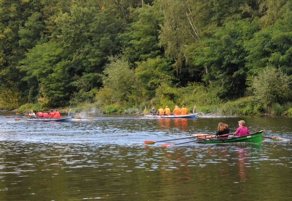 Drachenbootrudercup 2015 Linke gegen Piraten