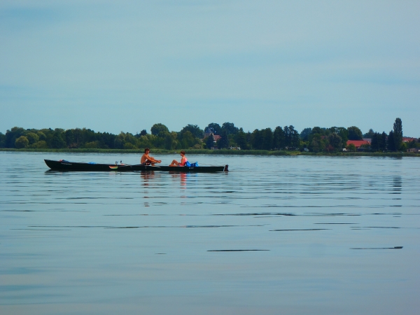 Einer mit Steuermann Schwielochsee 2015