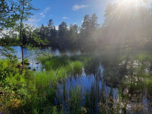 Einsame Bucht Inari 2022