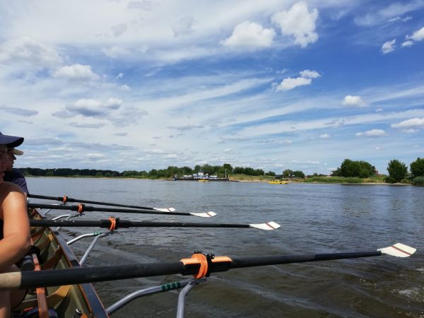 Gierfhre auf der Elbe Marathon 2022