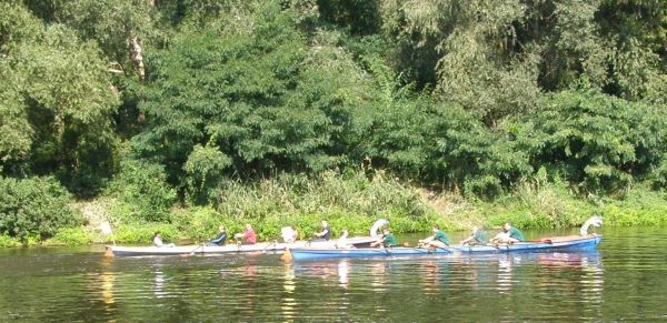 Gruene gegen SPD Drachenbootrudercup Kleinmachnow -DB10