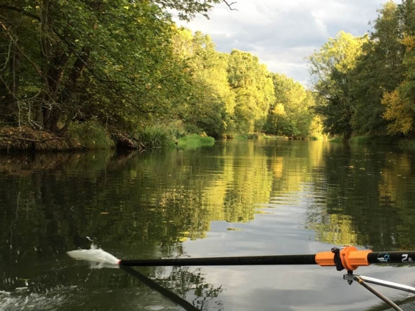 Hauptspree Spreewald 2016