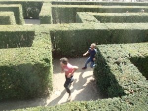 Heckenlabyrinth Wien 2015 Heckenlabyrinth Wien 2015