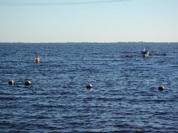 Ijsselmeer Ruderboote am Ziel R11