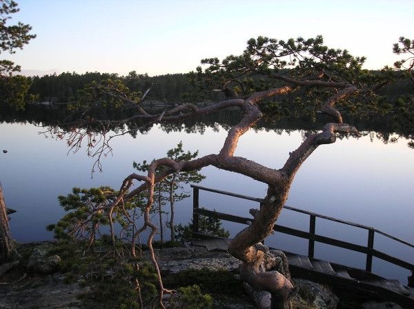 Inarifahrt 2006 050
