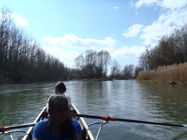 Insel in der Mosoni Donau 2016