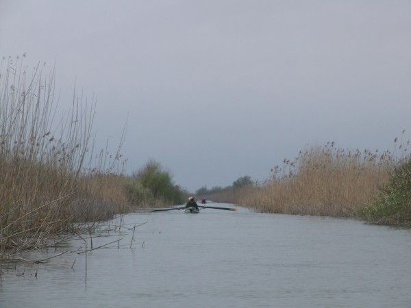 Kanal Buhaz im Donaudelta DD10