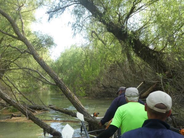 Kanal Crasnicol Donaudelta 2019