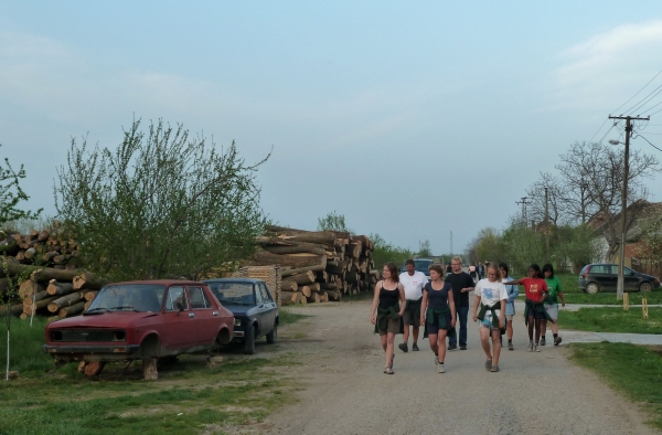 Karavukovo Ruderer auf der Strasse Donau 2012