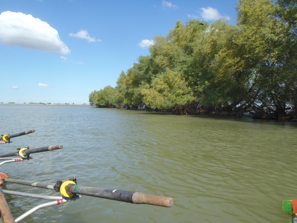 Lagune im delta donau 2014