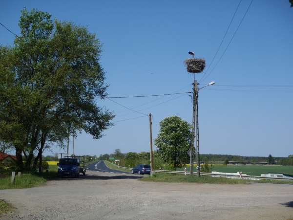 Landdienst mit Storch Warthe 2016