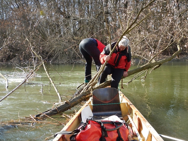 Mosoni Donau 2016 falsche Durchfahrt