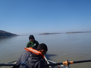 Multikultiboot auf der Donau 2018