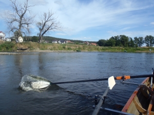 Narew mit wenig Wasser 2015