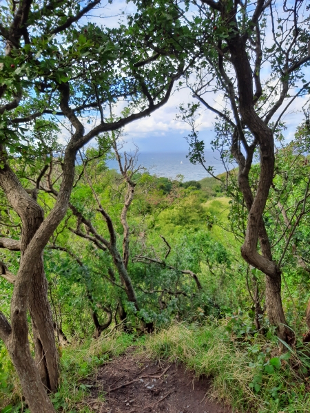 Ostseeblick Hiddensee 2020