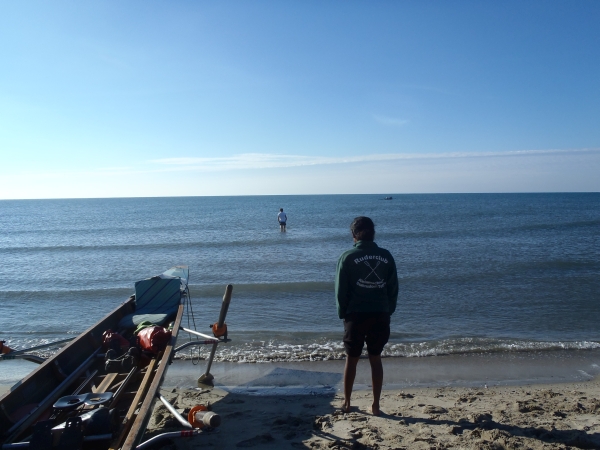 Petit Camargue am Strand 2015