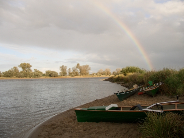 Regenbogen Bune bei Damnatz USE2012