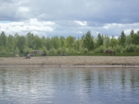 Rentiere am Ivalojoki Finnland 2012 Rentiere am Ivalojoki Finnland 2012