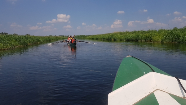 Ruderboot Guelper Havel Mecklenburg 2020