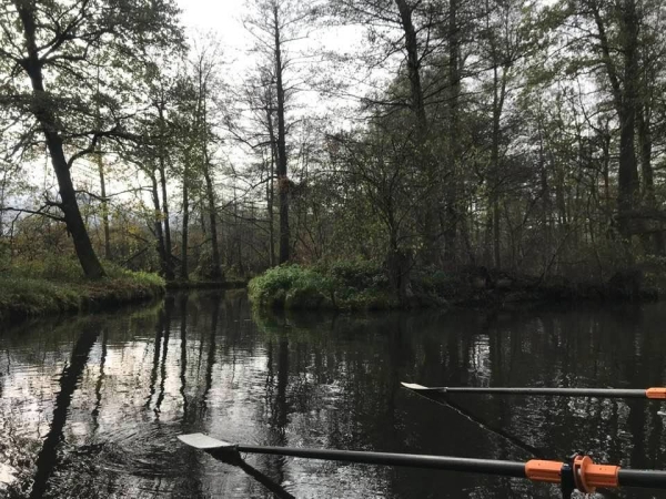 Ruderboot im Spreewald 2019