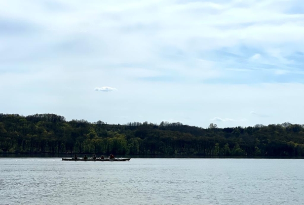 Ruderboot vor Waldkste Donau 2023