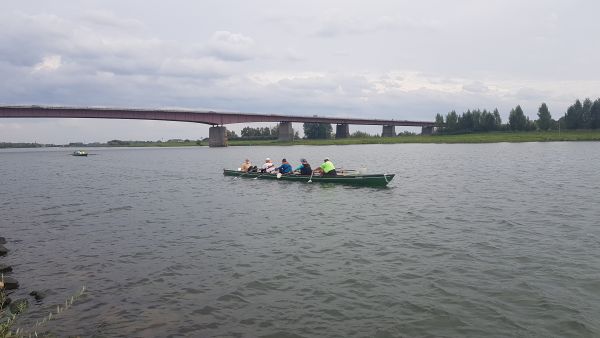 Ruderboote Rhenen Nederrijn 2019