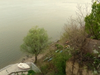 Ruderboote Stari Banovci Donau 2012 Ruderboote Stari Banovci Donau 2012