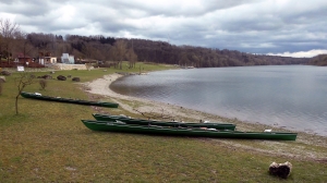 Ruderboote am Donau-Altarm in Wallsee 2015 Ruderboote am Donau-Altarm in Wallsee 2015