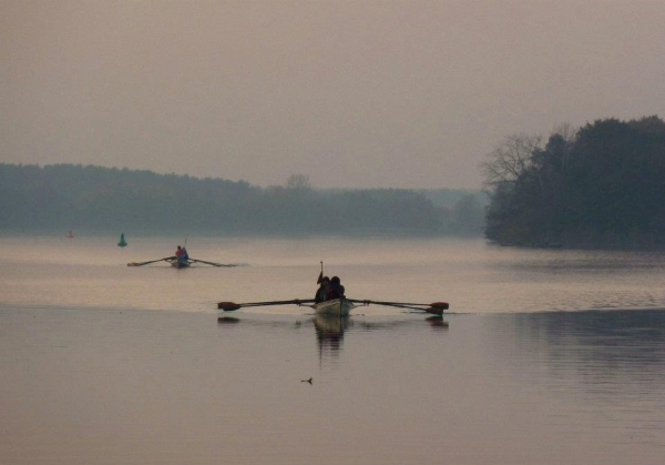 Ruderboote auf dem Dolgensee Spreewald 11