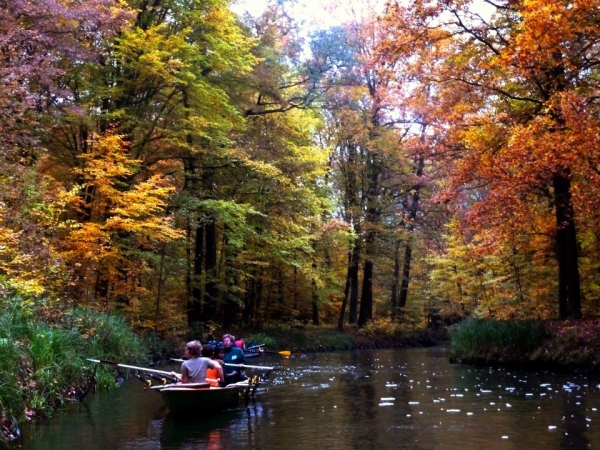 Ruderboote auf dem Puhlstrom Spreewald 11