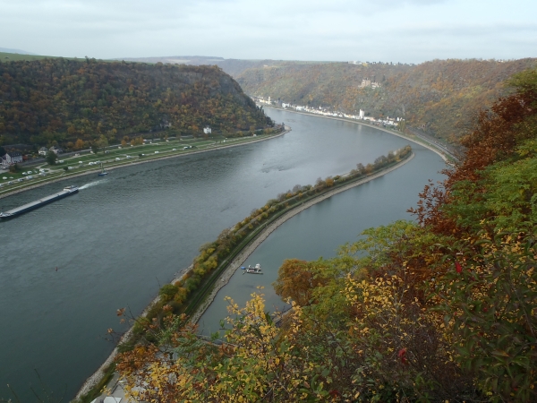 Ruderboote im Hafen an der Loreley 2015