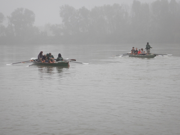 Ruderboote im Nebel auf dem Po 2014