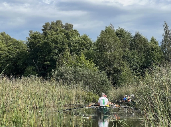 Ruderboote im Schilf Asnen