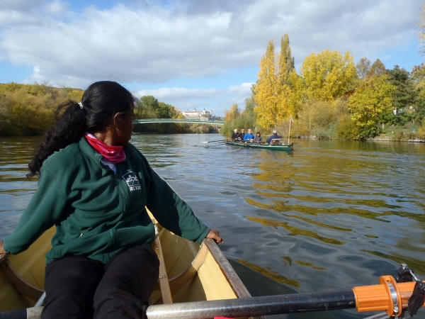 Ruderboote in Wuerzburg MDK 2015