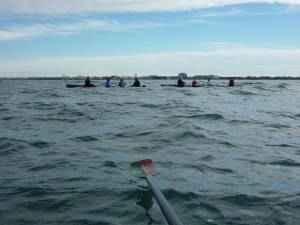 Ruderboote vor Port Camargue 2014 Ruderboote vor Port Camargue 2014