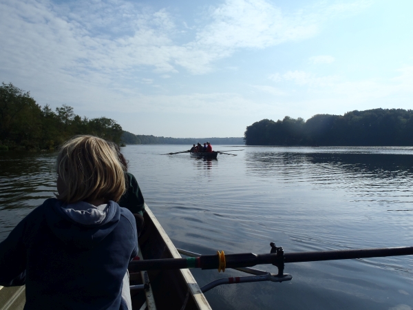 Ruderer auf dem Wentowsee 2015