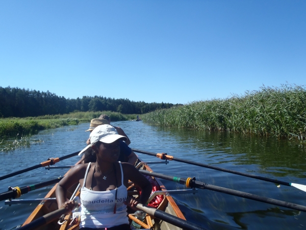 Ruderer auf der Netta Polen 2015