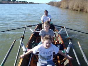 Ruderer im Februar Camargue 2014 Ruderer im Februar Camargue 2014