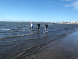 Ruderer im Mittelmeer Camargue 2014 Ruderer im Mittelmeer Camargue 2014