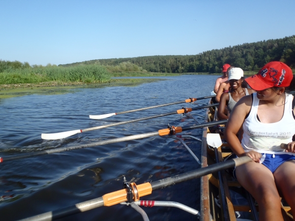 Ruderinnen auf der Nogat 2015