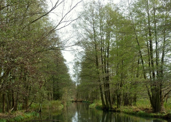 Ruderstrecke im Spreewald 2013