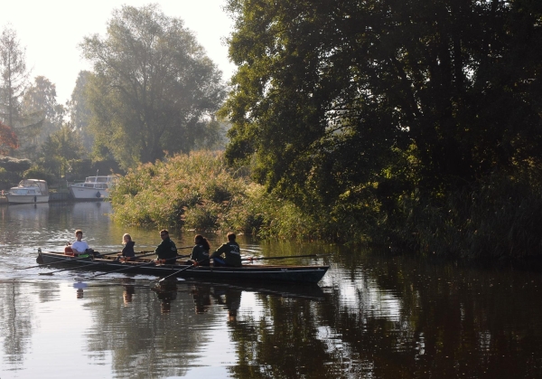 Rudervierer bei Burgwall 2015